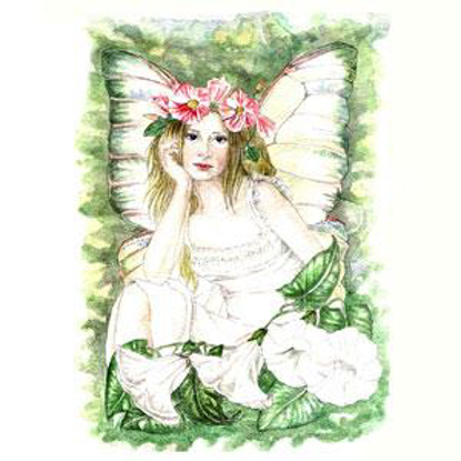 Picture of West Country Blindweed