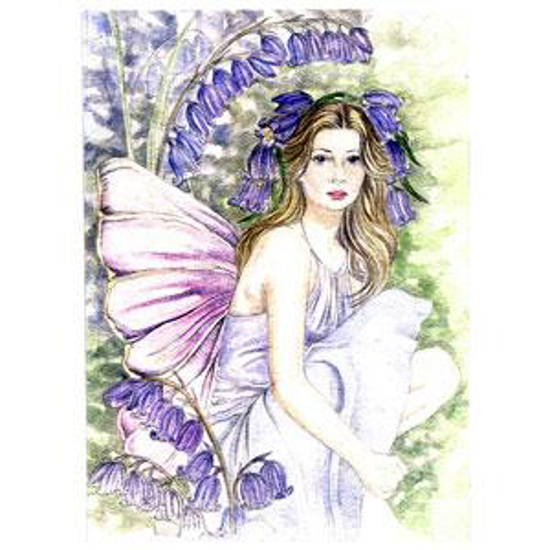 Picture of West Country Bluebell