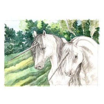 Picture of Unicorns