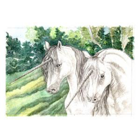 Picture of Unicorns