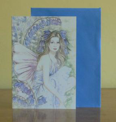 Picture of West Country Bluebell