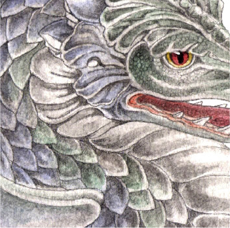 Picture for category Dragons