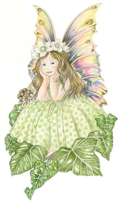 Picture of The Ivy Faerie