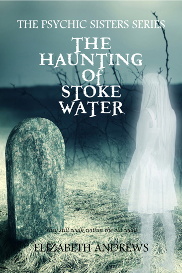 Picture of The Haunting of Stoke Water